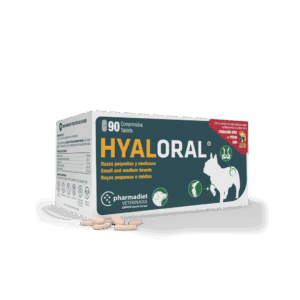 Hyaloral Medium N90, 1 vnt.