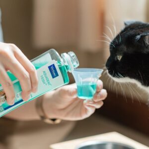 VIRBAC Vet Aquadent FR3SH - dantų skystis burnos higienai šunims ir katėms – 500ml - Image 2