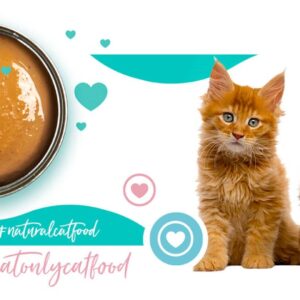 3COTY 42. Chicken and duck (kitten) - šlapias kačių maistas - 180g - Image 3