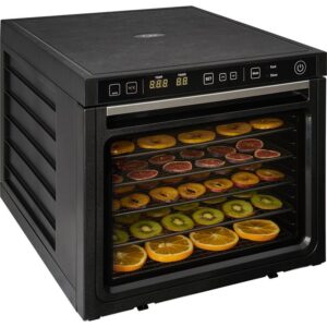 Maisto produktų džiovyklė ZYLE ZY100FD