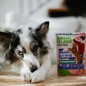 ANIMAL ISLAND Everyday Monoprotein Veal - drėgnas ėdalas šunims - 9x300g