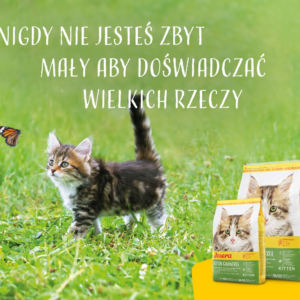 Josera 4032254755005 sausas kačių maistas 2 kg Kačiukas Paukštiena - Image 3