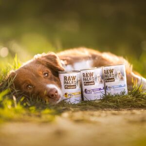 RAW PALEO Adult Monoprotein Duck - šlapias šunų maistas - 400 g - Image 3