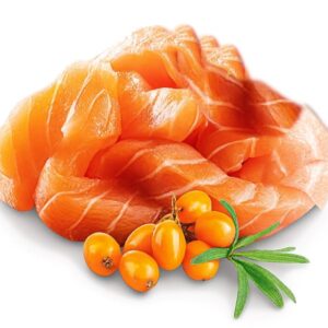 SHELMA Kitten with salmon in sauce - šlapias kačių maistas - 85g - Image 2