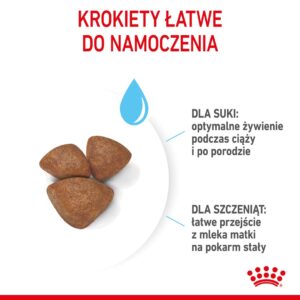 Royal Canin Mini Starter Mother & Babydog Suaugusiųjų Paukštiena 1 kg - Image 3