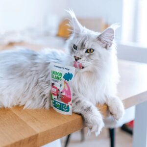 ANIMAL ISLAND Beef in broth - šlapias kačių maistas - 40x85g - Image 3