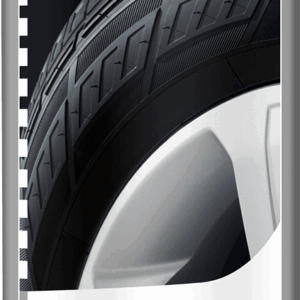 SONAX Padangų valiklis, juodintojas, 400ml 435300