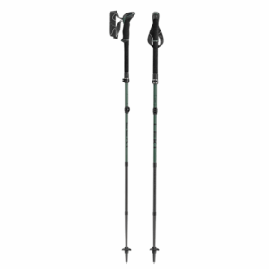Anglies pluošto lazdos Leki Makalu FX Carbon - green