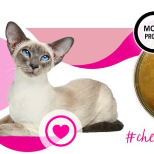 3COTY Cheers! 62. Turkey - šlapias kačių maistas - 160g - Image 3