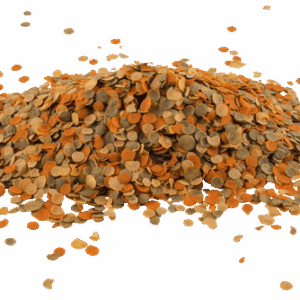 TetraMin crisps 10L/2kg (Naujas) - Image 2