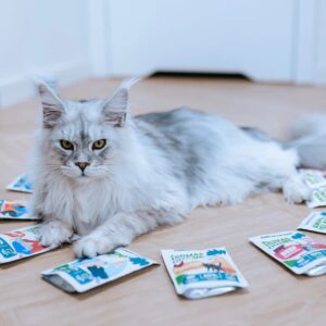 ANIMAL ISLAND Turkey / White fish / Beef / Chicken Fillets in broth - šlapias kačių maistas - 80x85g - Image 2