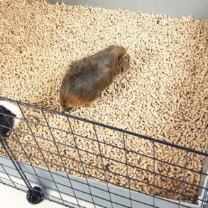 C&C modulinis narvas 4x2 145 x 75 cm juodas - Image 3