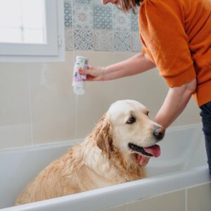 VIRBAC Allerderm jautri oda - šampūnas šunims ir katėms - 250 ml - Image 3