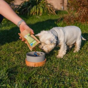 ANIMAL ISLAND Adult Medium Salmon - sausas maistas šunims - 12kg - Image 3