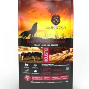 AMBROSIA GF Beef & Fresh Salmon Adult begrūdis jautienos ir šviežios lašišos sausas maistas šunims, 2 kg