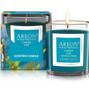 Aromatinė žvakė Under the Mystic Tree 120g