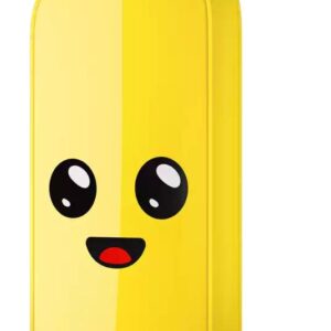 External SSD|SANDISK|2TB|USB 3.2|Read speed 800 MBytes/sec|SDSSDE30-2T00-G25F