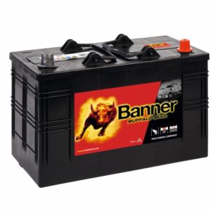Banner 110Ah 800A Buffalo Bull akumuliatorius 12V 344x172x214x230