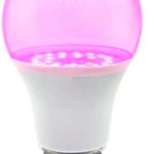 Light Bulb|VISIONAL|Power consumption 12 Watts|AC 220-240V|Beam angle 270 degrees|TL-A-12W