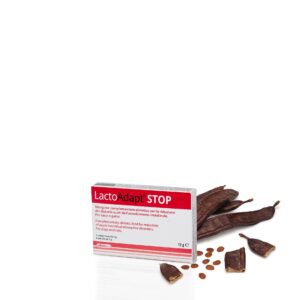 DOGOTEKA LactoAdapt STOP 6 tabl., 1 vnt.