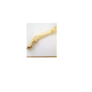 Džiovintos stirnos kojos baltos (5vnt)