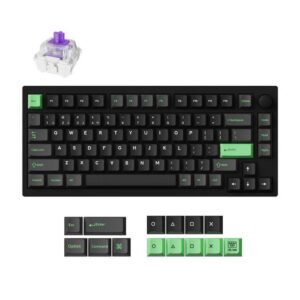 Klaviatūra WRL P1 HE RGB/BLACK P1H-M1Z Keychron