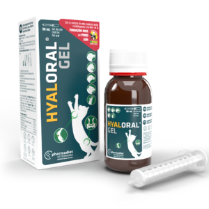 Hyaloral Gel papildai sąnariams, 50 ml, 1 vnt.