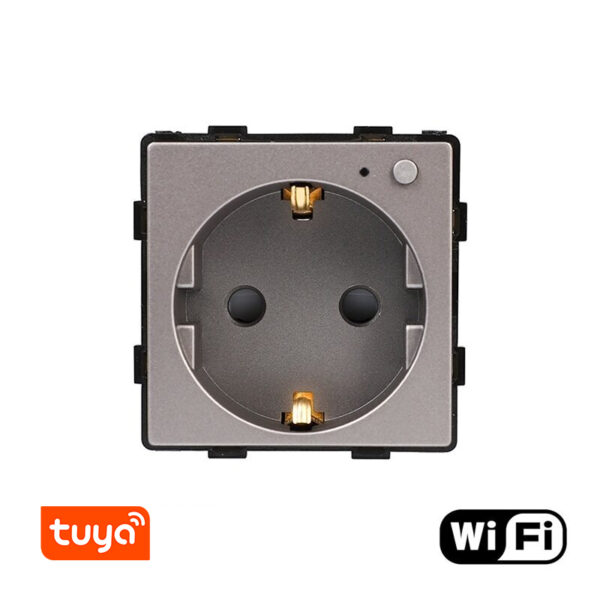 kistukinis-lizdas-su-sanaudu-matuokliu-wifi