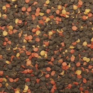 Tropical Malawi chips 5L/2,6kg - Image 2