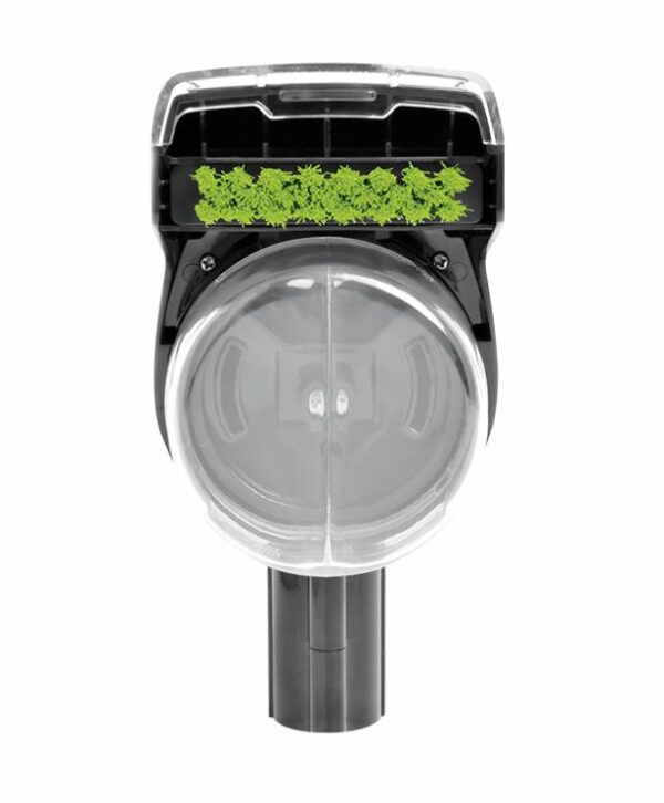 original011120244663