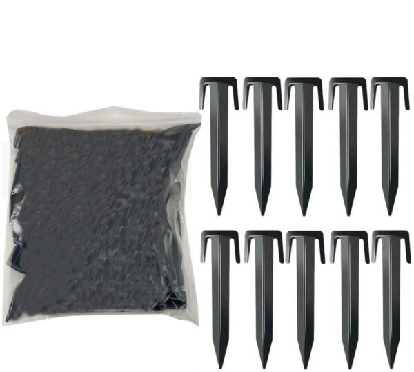 original5060894981255