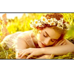 LG 4K UHD Signage | 55UL5Q-E | 55  | 500 cd/m² | Landscape/Portrait | 24/7 | webOS | Wi-Fi | 178 ° | 178 °