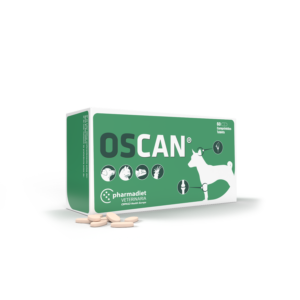 Oscan N60 kaulams, sanariams, 1 vnt.