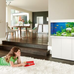 Juwel SBX Rio 240 spintelė balta pristatymas 5 d.d - Image 3