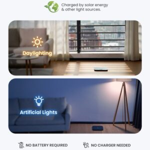 RENPHO Elis Solar 2 Smart Scale Black - Image 3