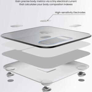 RENPHO Elis 1C Smart Body Scale White - Image 4