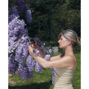 Sekatorius FELCO 160S - Image 3