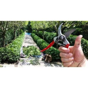 Sekatorius FELCO 2 - Image 2