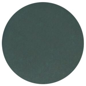 Šlifavimo diskas PROXXON P1000 50mm, 12vnt. - Image 2