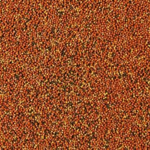 Tropical Supervit granulės 10L/5,5kg - Image 2