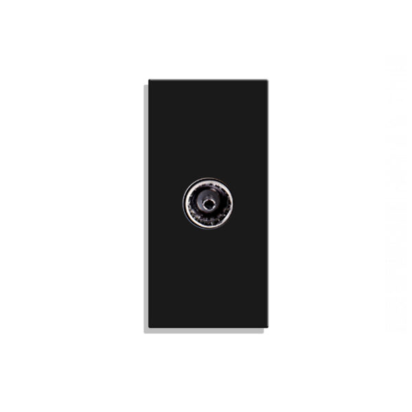 tv-lizdas-baltas-kopija