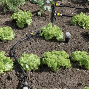 Vandens filtras 2.645-225.0 - Image 3