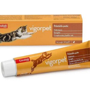 Candioli Vigorpet vitamininė-energetinė pasta katėms, 50 g
