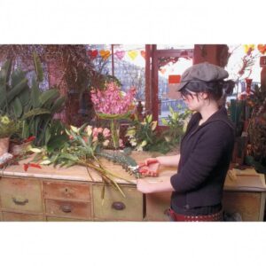 Žirklės FELCO 300 - Image 3