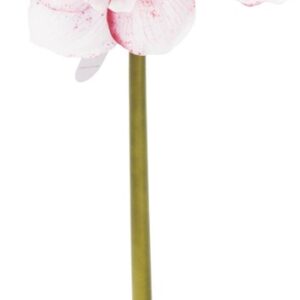 GĖLĖ DIRBTINĖ PL8000120 66CM 2 DIZAINAI - Image 3