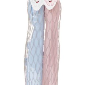 Dantų šepetėlio dėžutė, mėlyna/rožinė, 2 vnt.