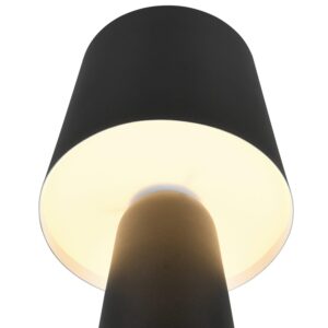 Stalinis šviestuvas Trio Nubian 562900132, E27, pastatomas - Image 2