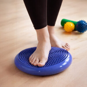 Wozinsky WPSD-01 sensory cushion for rehabilitation hedgehog - blue - Image 4