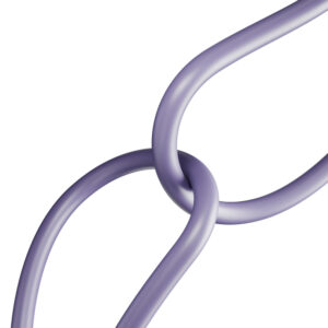 Puro ICON USB-C - USB-C Cable 1.5m - violetinės spalvos - Image 6