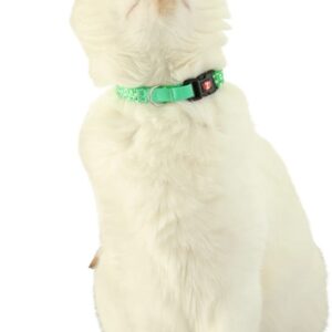 ZOLUX Chatouille green - antkaklis katėms - Image 2